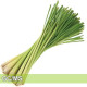Lemongrass-檸檬香茅 Lemongrass-檸檬香茅